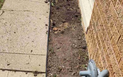 Photo of Kelsey M.'s yard after getting landscaping in Wausau, WI
