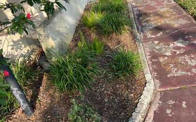 Photo of Amanda S.'s yard after getting landscaping in Aripeka, FL