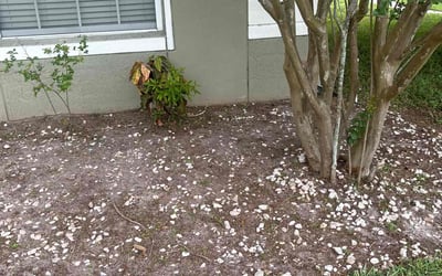 Photo of Stephanie M.'s yard after getting landscaping in Geneva, FL