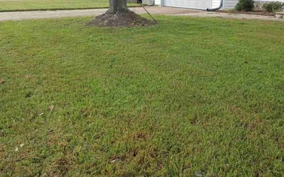 Photo of Kevin B.'s yard after getting landscaping in Fort Eustis, VA