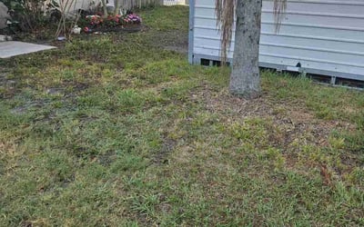 Photo of Chris R.'s yard after getting landscaping in Pinellas Park, FL