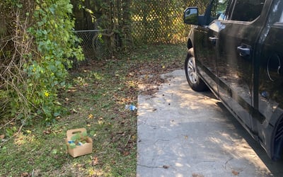 Photo of Kyle S.'s yard after getting landscaping in Greensburg, LA