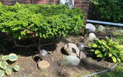 Photo of Shirley W.'s yard after getting landscaping in Detroit, MI