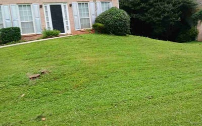 Photo of Deborah F.'s yard after getting landscaping in Decatur, GA