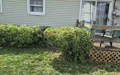 Photo of Barbara B.'s yard after getting landscaping in Middletown, PA