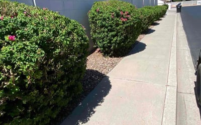 Photo of Jordan J.'s yard after getting landscaping in Rio Verde, AZ