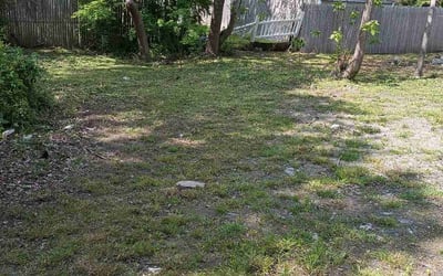 Photo of Harry D.'s yard after getting landscaping in Seekonk, MA