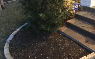 Photo of Chad L.'s yard after getting landscaping in Celeste, TX