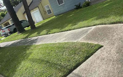 Photo of John H.'s yard after getting landscaping in Deer Park, TX