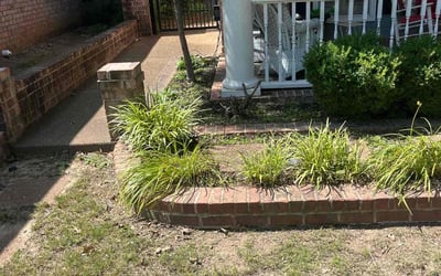 Photo of Tina B.'s yard after getting landscaping in Olive Branch, MS