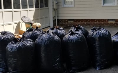 Photo of Montiqua S.'s yard after getting tree care in Hopewell, VA