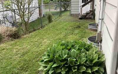 Photo of Betty J.'s yard after getting landscaping in Charlotte, MI
