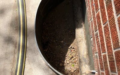 Photo of Mark G.'s yard after getting landscaping in Indian Hills, CO
