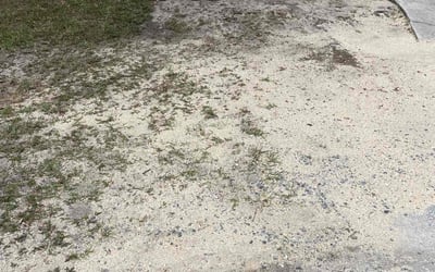 Photo of Juan G.'s yard after getting landscaping in Bunnell, FL