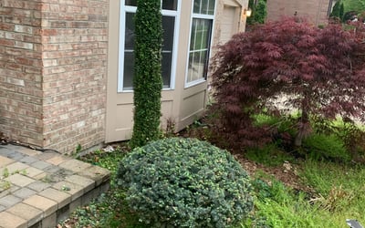 Photo of Michael M.'s yard after getting landscaping in Germantown, KY