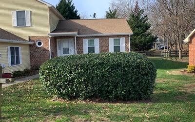 Photo of Phyllis L.'s yard after getting landscaping in Port Tobacco, MD