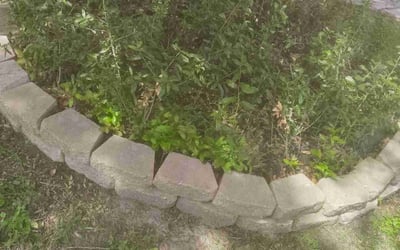 Photo of Jacob S.'s yard after getting landscaping in Channelview, TX