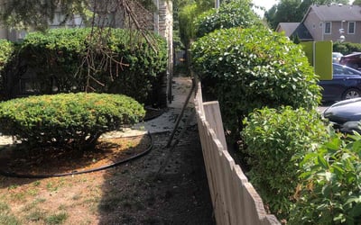 Photo of Judy Y.'s yard after getting landscaping in Jackson, WI