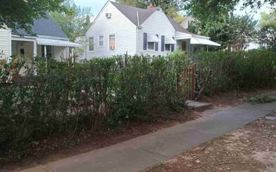 Photo of Caitlin W.'s yard after getting tree care in Chesterfield, VA