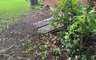 Photo of Trina R.'s yard after getting landscaping in Wilmington, DE