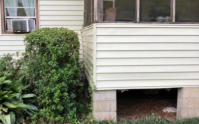 Photo of Kellie M.'s yard after getting tree care in Crawfordville, FL