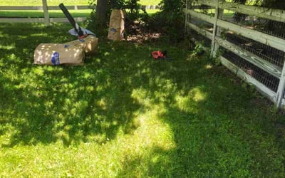 Photo of Shari J.'s yard after getting tree care in Falls Church, VA
