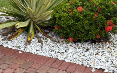 Photo of Andrew S.'s yard after getting landscaping in Boynton Beach, FL
