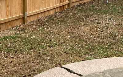 Photo of Karen R.'s yard after getting landscaping in Waring, TX