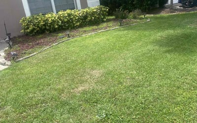 Photo of Kimberly S.'s yard after getting tree care in Oviedo, FL