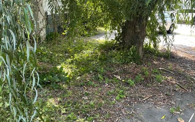 Photo of Ashley M.'s yard after getting landscaping in Wilkes Barre, PA