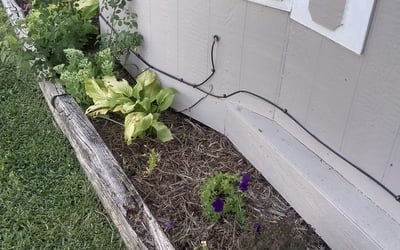 Photo of Teresa G.'s yard after getting landscaping in Newton, KS