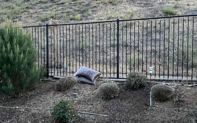 Photo of Jennifer C.'s yard after getting landscaping in San Jacinto, CA