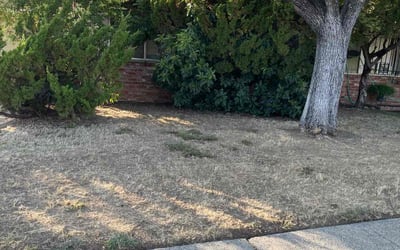 Photo of Melissa R.'s yard after getting landscaping in Orangevale, CA