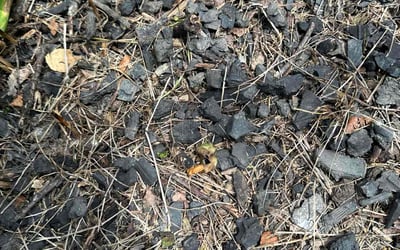 Photo of Deborah H.'s yard after getting landscaping in Baltimore, OH