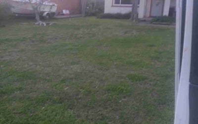 Photo of Mike B.'s yard after getting landscaping in Newcastle, CA