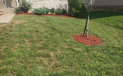 Photo of John B.'s yard after getting landscaping in Taylorsville, KY