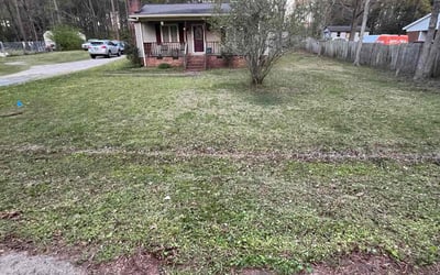 Photo of Tracey A.'s yard after getting tree care in Gastonia, NC