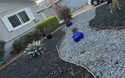 Photo of Katie P.'s yard after getting landscaping in Sacramento, CA