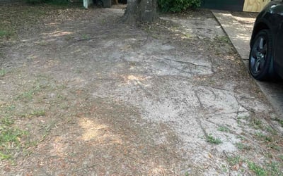 Photo of David T.'s yard after getting landscaping in Tallahassee, FL