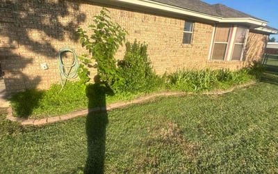 Photo of Vicky H.'s yard after getting landscaping in Haslet, TX