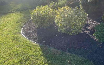 Photo of Lisa C.'s yard after getting landscaping in Buffalo, NY