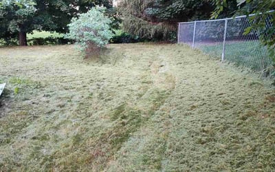 Photo of Jerry F.'s yard after getting landscaping in Maple Lake, MN