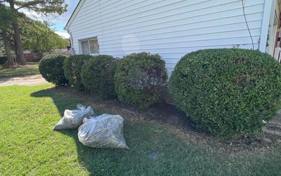 Photo of Jason H.'s yard after getting landscaping in Corolla, NC