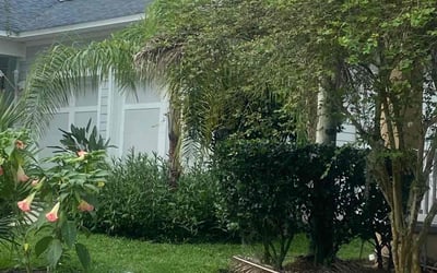 Photo of Colette M.'s yard after getting landscaping in Saint Augustine, FL