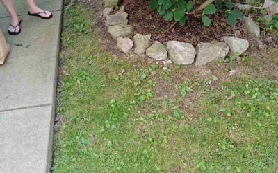 Photo of Samantha M.'s yard after getting landscaping in Fairdale, KY