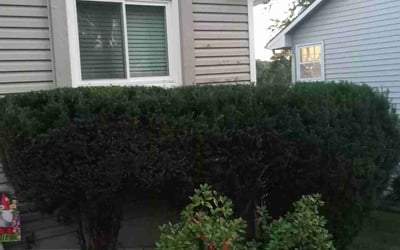 Photo of Jennifer F.'s yard after getting landscaping in Basehor, KS