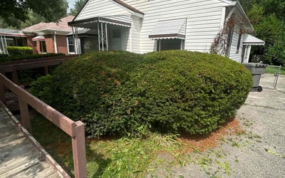 Photo of Joseph B.'s yard after getting landscaping in Cloverdale, IN