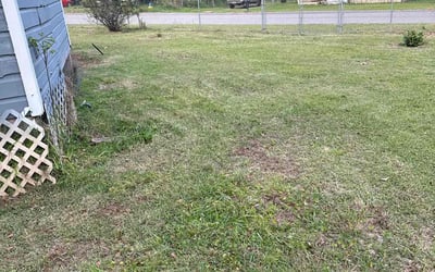 Photo of Heather B.'s yard after getting tree care in Montgomery, AL