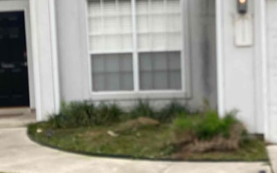 Photo of Richard R.'s yard after getting landscaping in Saint Hedwig, TX
