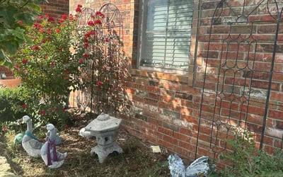 Photo of Cynthia S.'s yard after getting landscaping in Jones, OK
